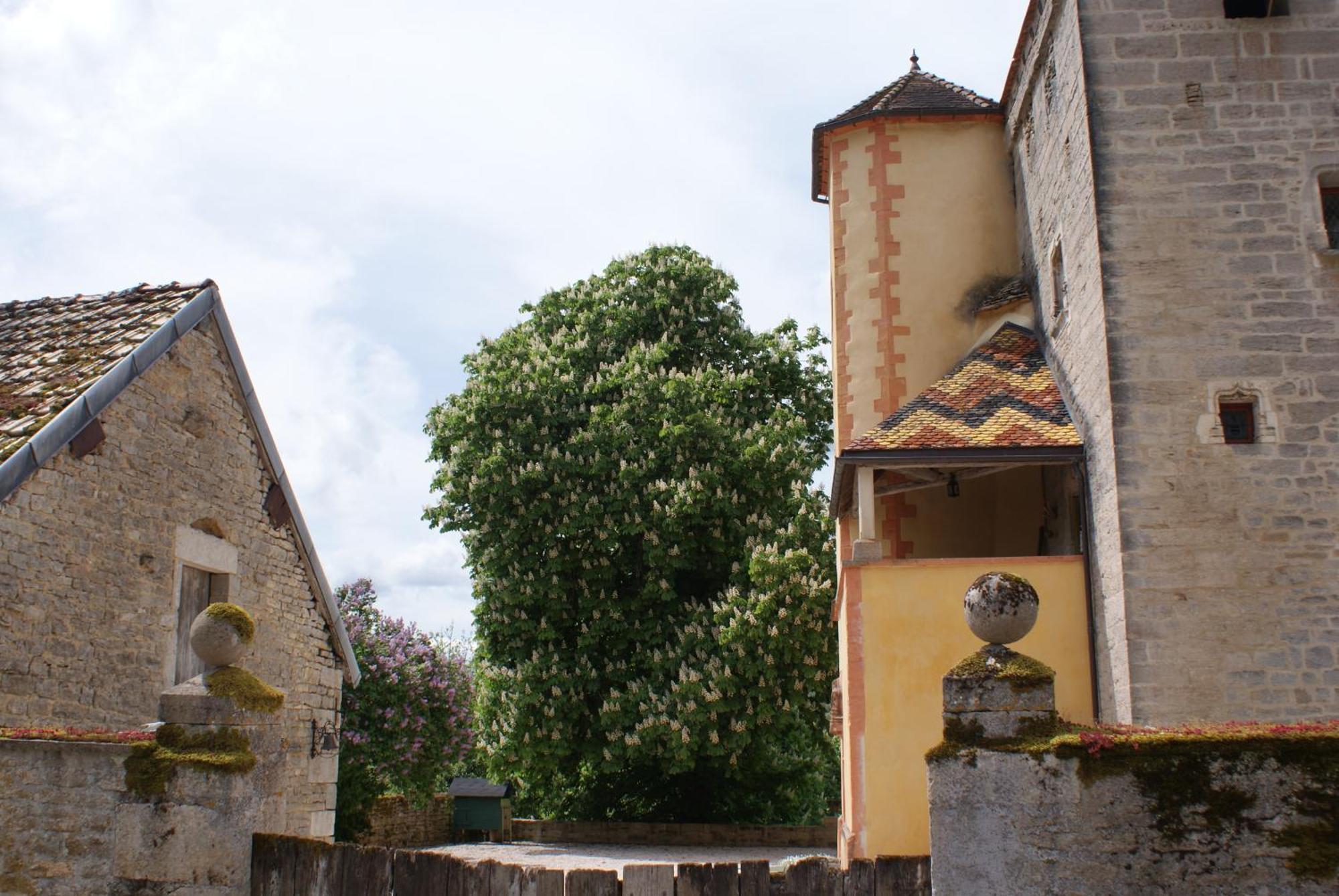 Chateau De Champrenault, Voyagez Dans Le Temps Экстерьер фото